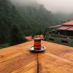 کارخانجات چای سیاه مزگی