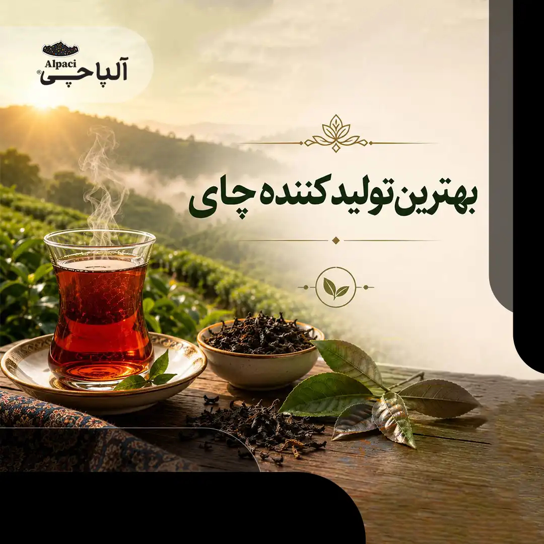 بهترین تولید کننده چای