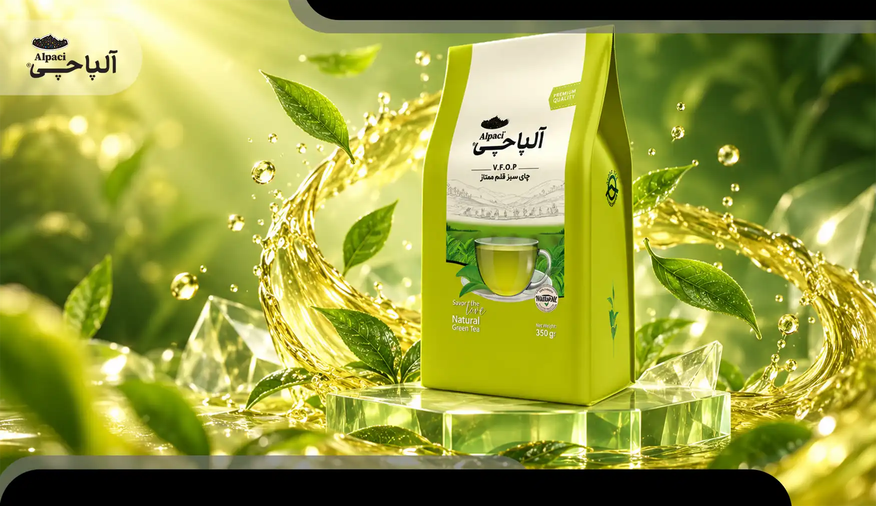 روش صحیح دم کردن چای سبز